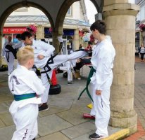 Taekwon-do Wales